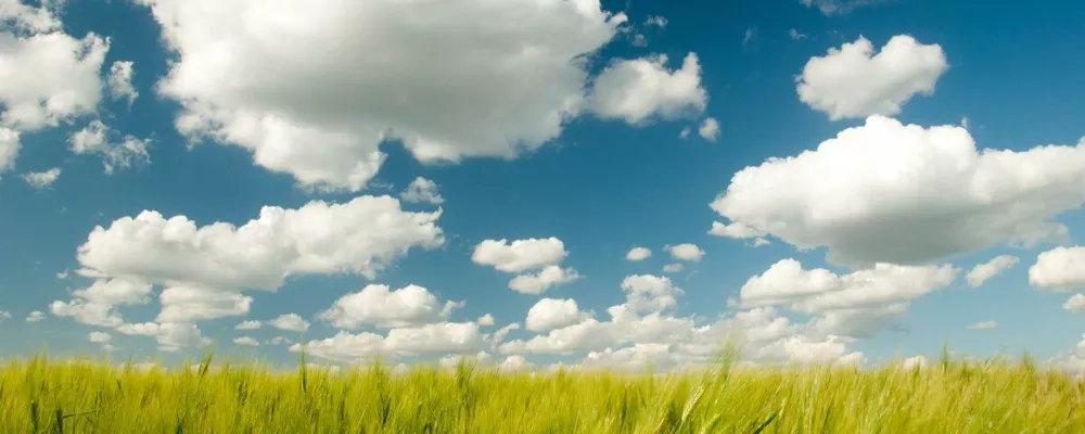 Symbolic landscape for the general INFP Personality profile